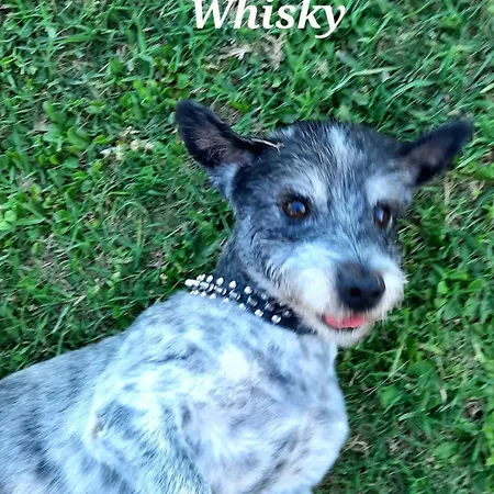 בית נופש Il Casale Di Lucullo לוצ'יניאנו