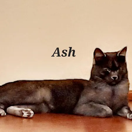 Il Casale Di Lucullo * לוצ'יניאנו