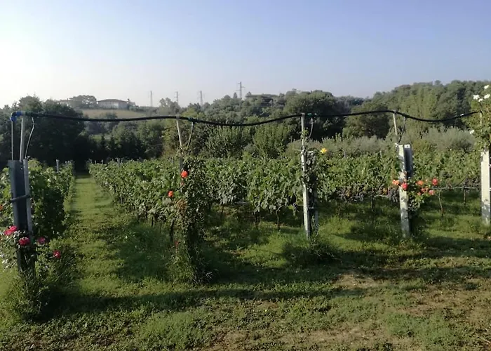 Il Casale Di Lucullo-holiday With Pool And Spa- Ferienhaus