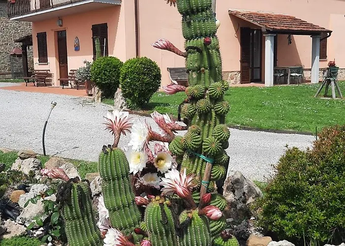 Il Casale Di Lucullo-holiday With Pool And Spa- Lucignano